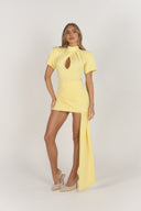 Lemon Twist Bodysuit & Skirt Set
