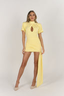 Lemon Twist Bodysuit & Skirt Set